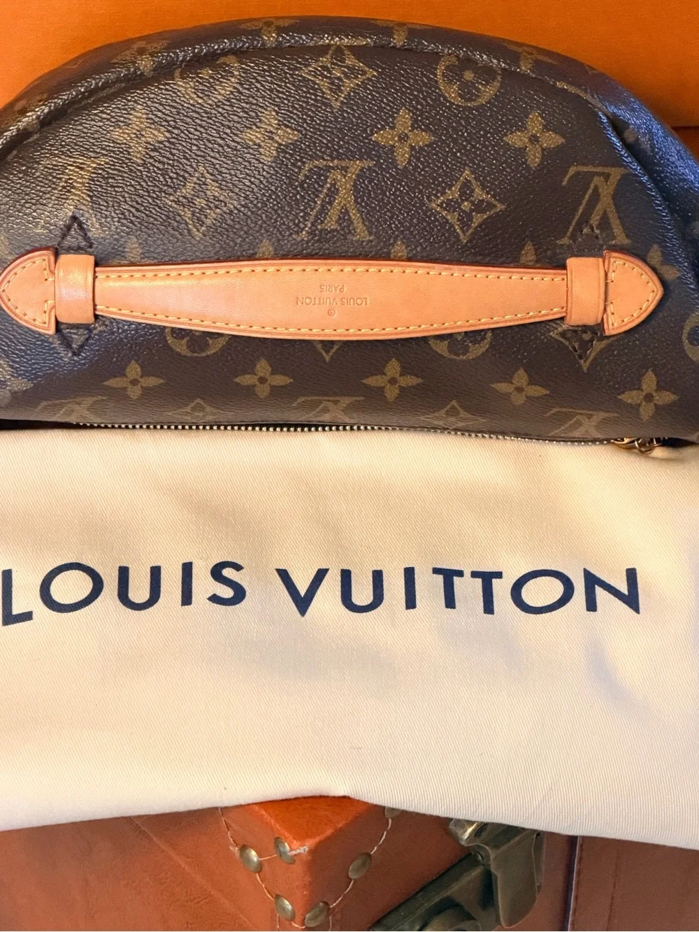 Louis Vuitton Monogram Bum Bag - Brown Monogram Canvas✨ - Picture 4 of 14